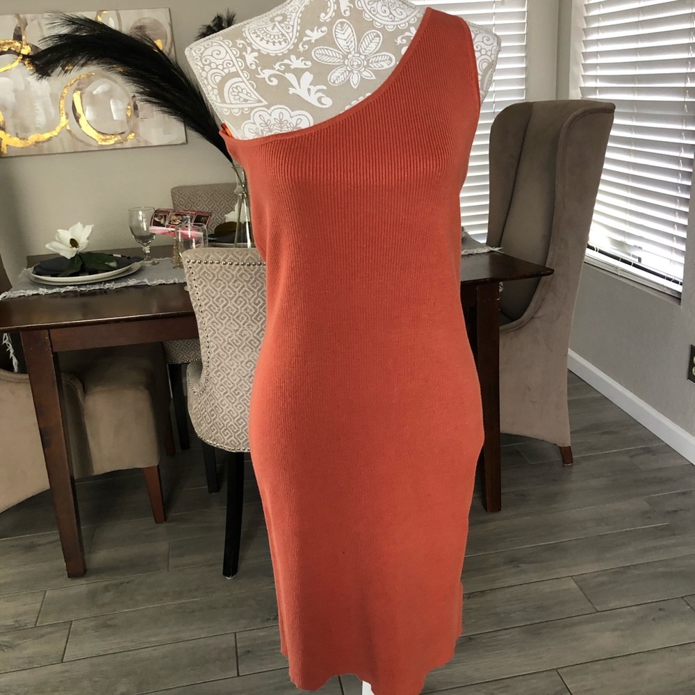 Nwt House of Harlow 1960 dress Sz large